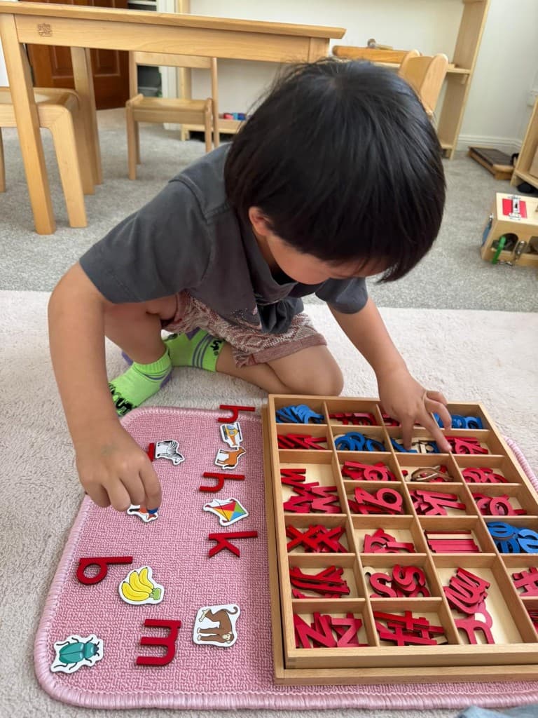 Moveable alphabet with animal figure matching