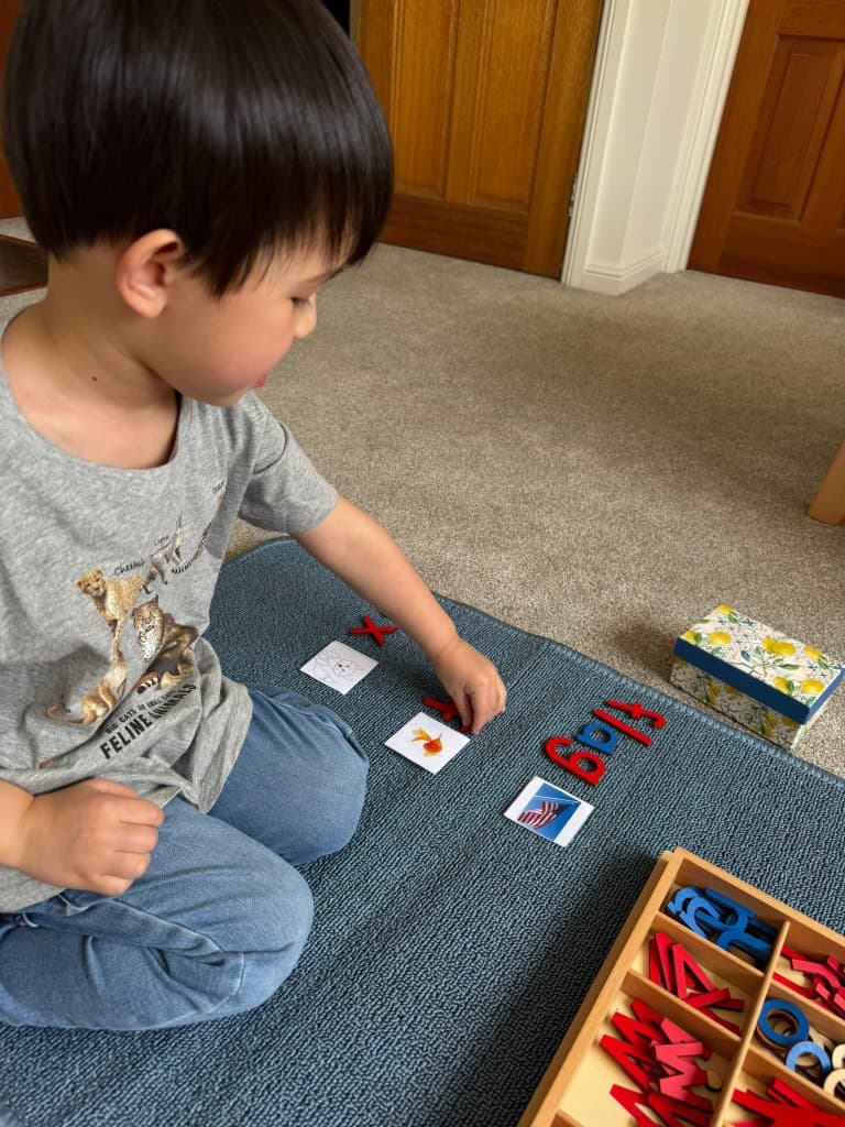 Spelling words with moveable alphabet and picture cards