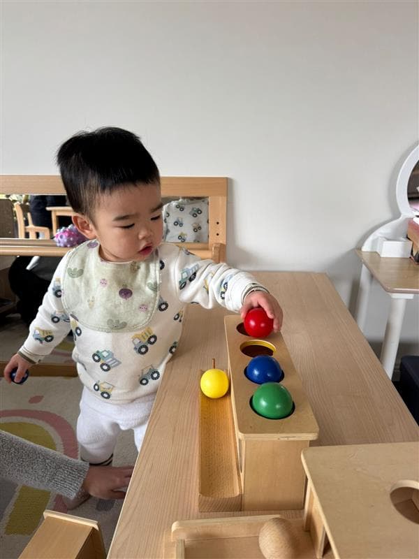 Toddler sorting coloured balls into matching holes