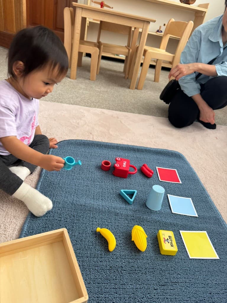 Colour matching activity with educator